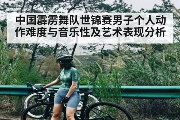 中国霹雳舞队世锦赛男子个人动作难度与音乐性及艺术表现分析
